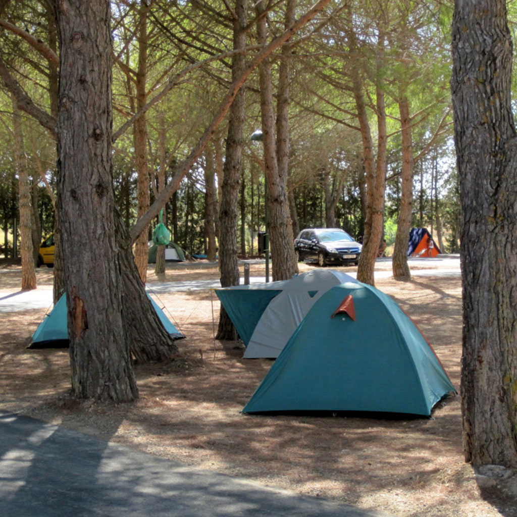Parcelas - Complejo Camping Bolaso
