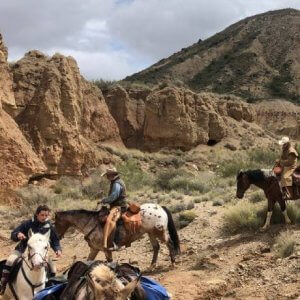 excursiones a caballo las bardenas